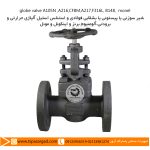 شير سوزنى يا پيستونى