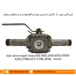 شير گازى نيپل دار