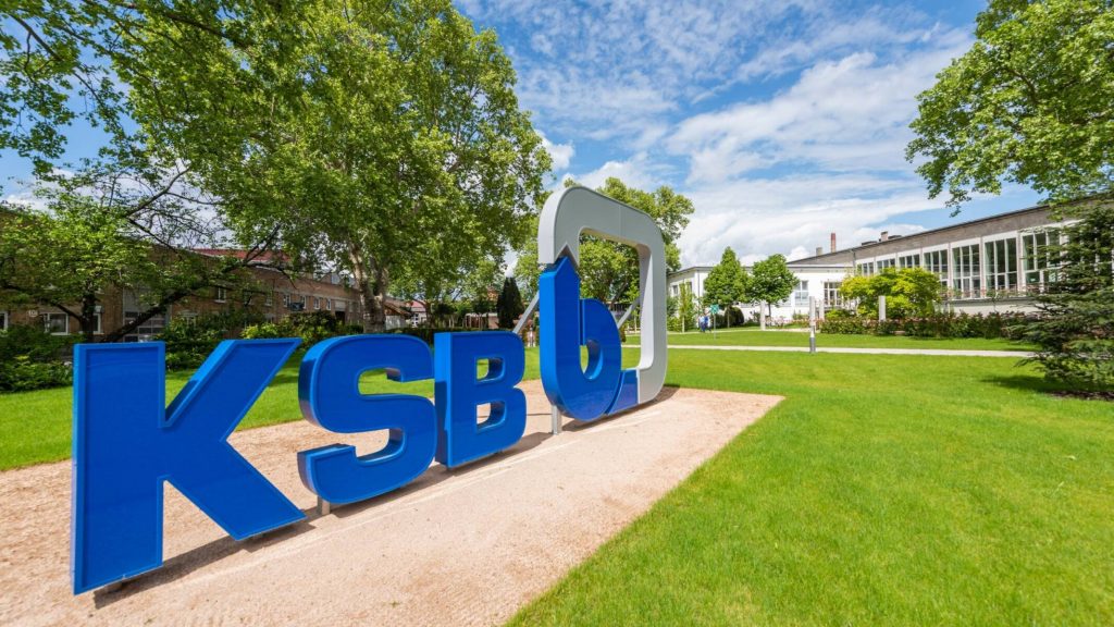 شیرآلات صنعتی KSB آلمان